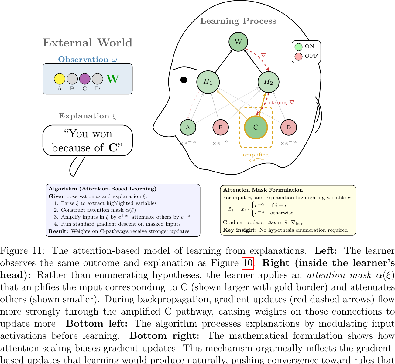 Attention-based model: explanations direct attention during gradient-based learning