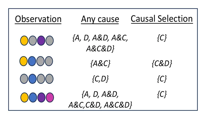 Table of the four kinds of observation with their any-cause and causal-selection explanations